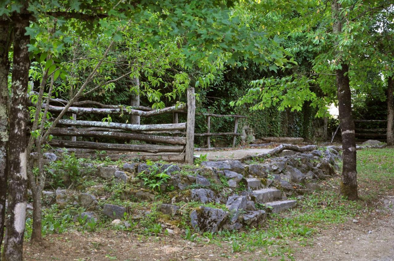 Traditional Stone House Kotli Buzet Exterior foto